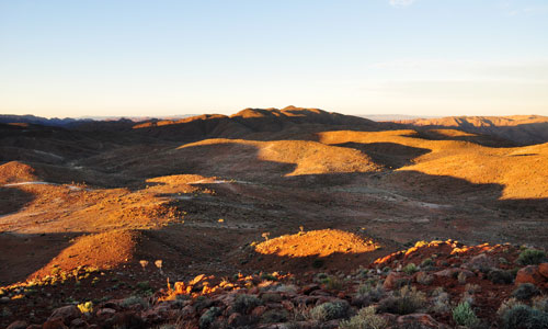 Dry Richtersveld Landscape